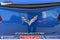 2019 Chevrolet Corvette Stingray 1LT